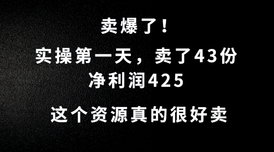 这个资源,需求很大,实操第一天卖了43份,净利润425【揭秘】-冒泡网