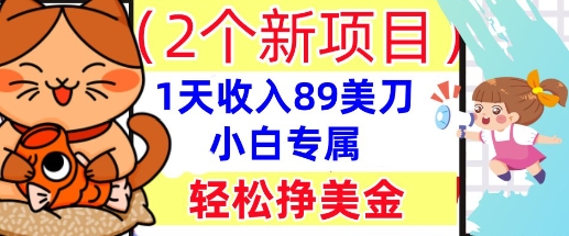 2个新项目，轻松挣美金， 1天收入89美刀，小白专属，干货分享-冒泡网