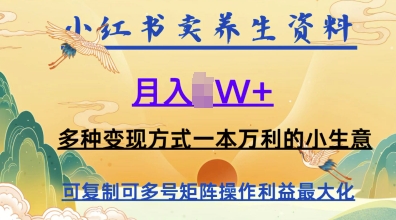 在小红书上卖养生资料，月入1w+，多种变现方式一本万利的小生意-冒泡网