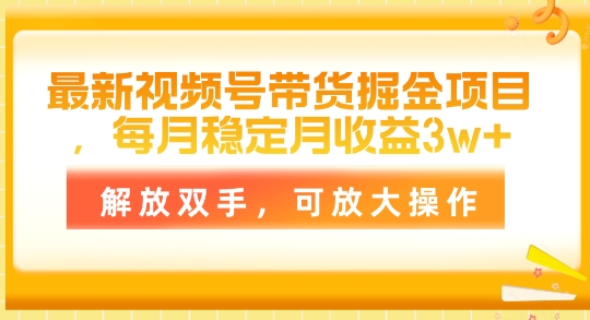 最新视频号带货掘金项目,每月稳定月收益1w+,解放双手,可放大操作-冒泡网
