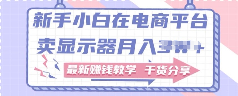 新手小白如何做到在电商平台卖显示器，最新赚钱教学干货分享-冒泡网