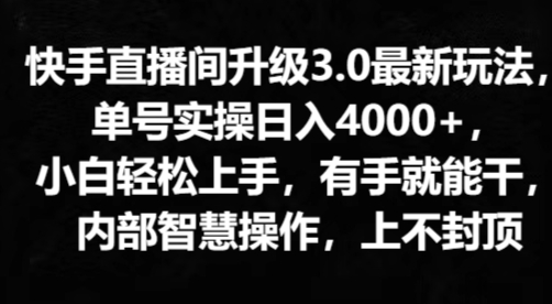 快手直播间升级3.0最新玩法,小白轻松上手,有手就能干,内部智慧操作,上不封顶-冒泡网