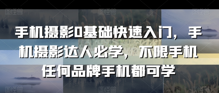 手机摄影0基础快速入门，手机摄影达人必学，不限手机任何品牌手机都可学-冒泡网