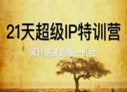 21天超级IP特训营,屌丝逆袭的唯一机会-冒泡网