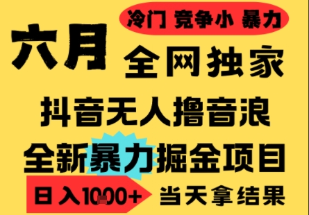 25年6月高爆抖音无人直播最新撸音浪掘金项目,小白可做,无脑日入1k+,门槛低可批量矩阵【揭秘】-冒泡网