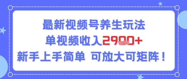 视频号养生玩法,单视频收入2.9k,新手上手简单-冒泡网