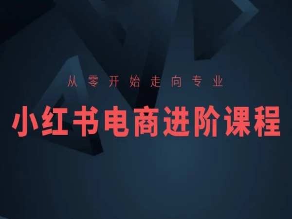 从零开始走向专业,小红书电商进阶课程-冒泡网