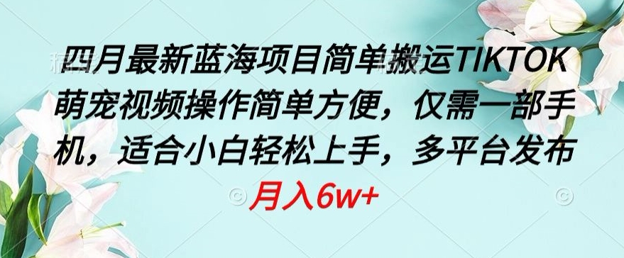四月最新蓝海项目，简单搬运TIKTOK萌宠视频，操作简单方便，仅需一部手机【揭秘】-冒泡网
