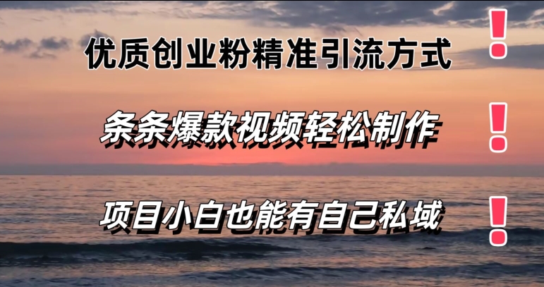 优质创业粉精准引流方式,条条视频爆款,小白也能轻松拥有自己的私域-冒泡网