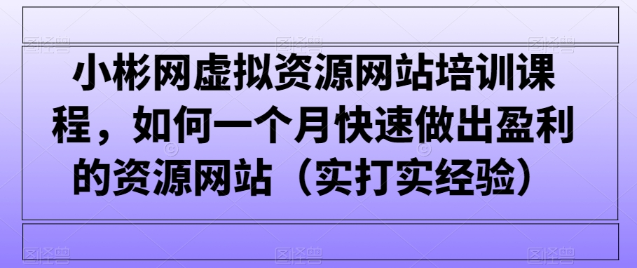 小彬网虚拟资源网站培训课程，如何一个月快速做出盈利的资源网站（实打实经验）-冒泡网