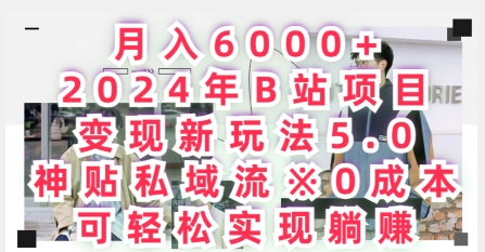 月入6000+，年B站项目变现新玩法5.0.神贴私域流0成本，可轻松实现躺赚-冒泡网
