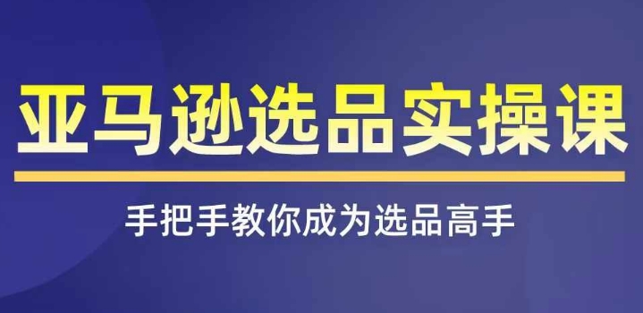 亚马逊选品实操课程,快速掌握亚马逊选品的技巧,覆盖亚马逊选品所有渠道-冒泡网