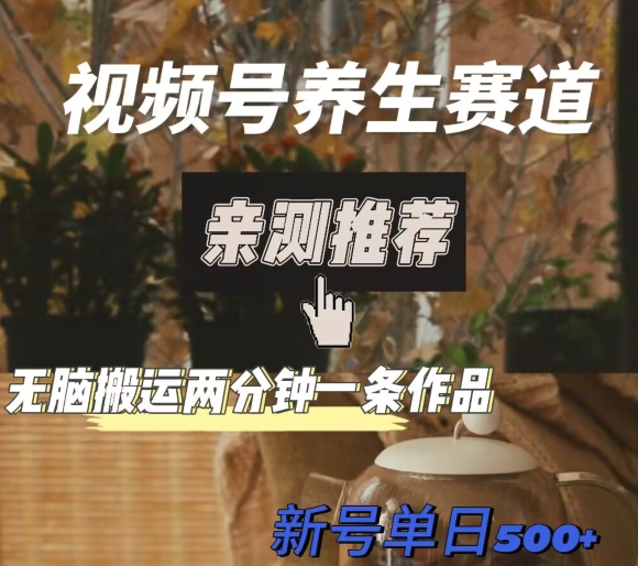 视频号养生赛道暴力掘金,无脑搬运,两分钟一条作品-新日单入500+-冒泡网