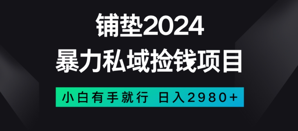 暴力私域捡钱项目，小白无脑操作，日入2980【揭秘】-冒泡网