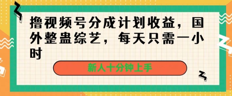 撸视频号分成计划收益,国外整蛊综艺,每天只需一小时,新人十分钟上手-冒泡网