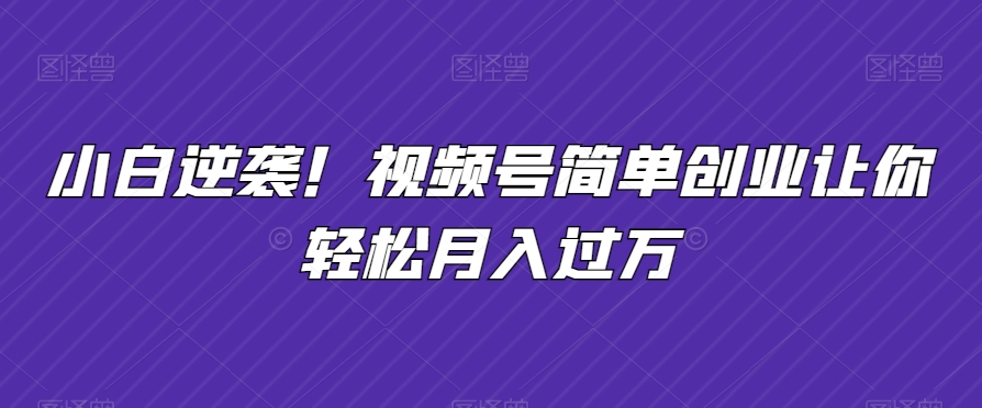 小白逆袭!视频号简单创业让你轻松月入过万-冒泡网