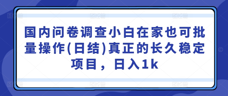 国内问卷调查小白在家也可批量操作(日结)真正的长久稳定项目,日入1k【揭秘】-冒泡网