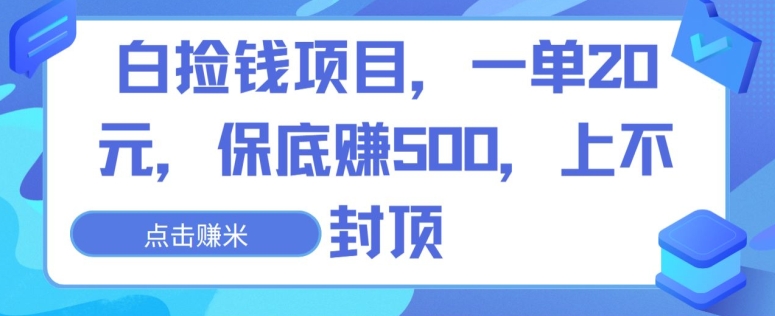 白捡钱项目,一单20元,保底赚500,上不封顶-冒泡网