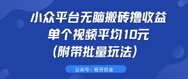 小众平台无脑搬砖撸收益 单个视频平均10元 (附带批量玩法)-冒泡网