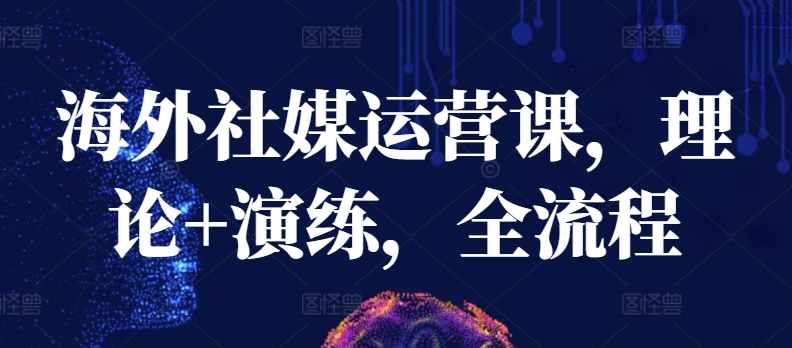 海外社媒运营课，理论+演练，全流程-冒泡网