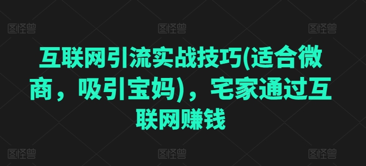 互联网引流实战技巧(适合微商，吸引宝妈)，宅家通过互联网创钱-冒泡网