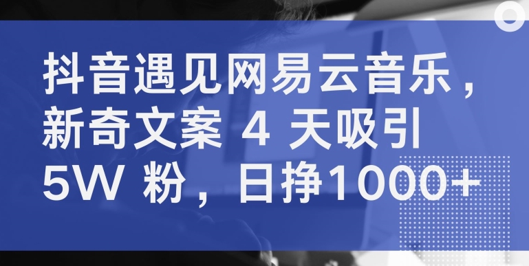 抖音遇见网易云音乐，新奇文案 4 天吸引 5W 粉，日挣1000+【揭秘】-冒泡网