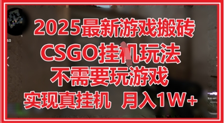 2025最新游戏搬砖，CSGO挂G，不需要玩游戏，实现真挂G，月入1W+【揭秘】-冒泡网