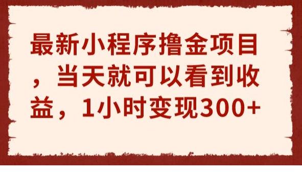 最新小程序撸金项目，当天就可以看到收益，1小时变现300+【揭秘】-冒泡网