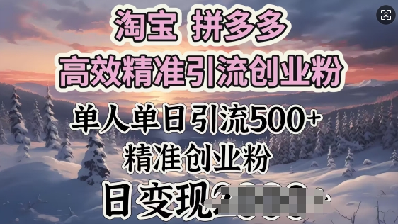 淘宝拼多多高效精准引流创业粉,单人单日引流500+创业粉,日变现多张-冒泡网