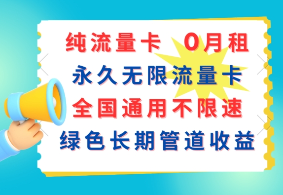 纯流量卡，0月租，永久无限流量卡，全国通用不限速，绿色长期管道收益-冒泡网