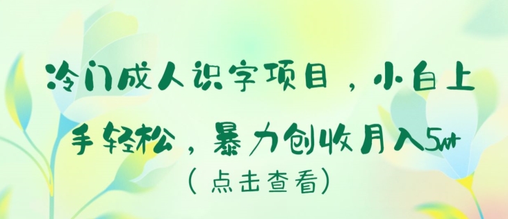 冷门成人识字项目，小白上手轻松，暴力创收月入5w+【揭秘】-冒泡网