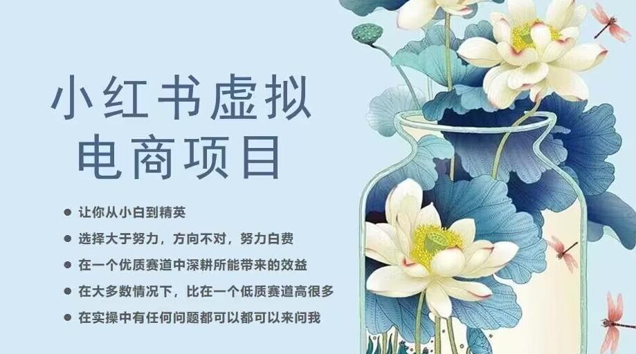 小红书虚拟电商从0到1，让你从小白到精英（20节实操课程）-冒泡网