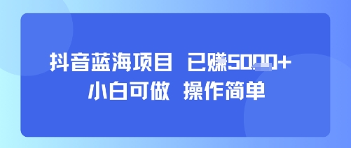 抖音蓝海项目,小白可做,操作简单,可批量制作,已挣5k+-冒泡网