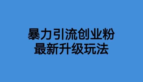 价值1980一千个野路子暴力引流最新升级玩法【揭秘】-冒泡网
