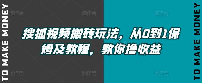 搜狐视频搬砖玩法，从0到1保姆及教程，教你撸收益-冒泡网