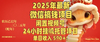 2025年最新微信搞钱项目，闲置视频号年24小时挂G托管项目，单日收入多张-冒泡网