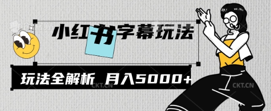小红书字幕玩法,玩法全解析,月入2000+-冒泡网