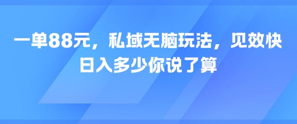 一单88元，私域无脑玩法，见效快，日入多少你说了算-冒泡网