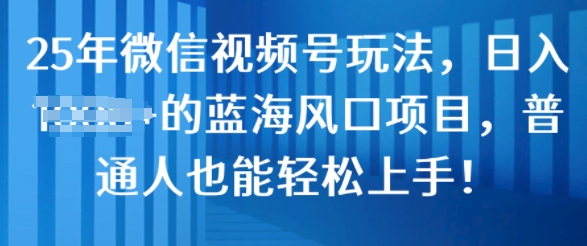 25年微信视频号玩法，日入几张的蓝海风口项目，普通人也能轻松上手!-冒泡网