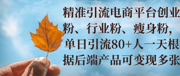 小投入撬动大收益，精准引流创业粉、行业粉，单日引流80+，一天可变现多张-冒泡网