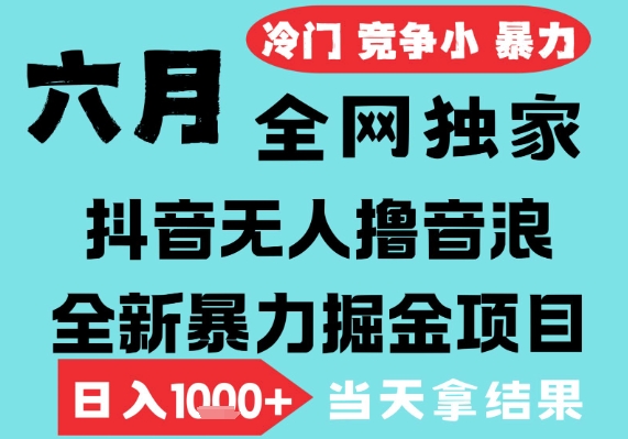 2025年6月高爆抖音无人直播最新撸音浪掘金项目,无脑日入1k+,低门槛小白可做,可矩阵放大【揭秘】-冒泡网