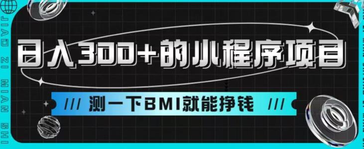日入300+的小程序项目，测一下BMI就能挣钱【揭秘】-冒泡网