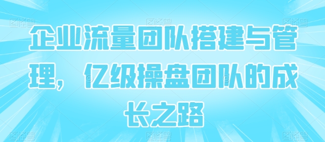 企业流量团队搭建与管理，亿级操盘团队的成长之路-冒泡网