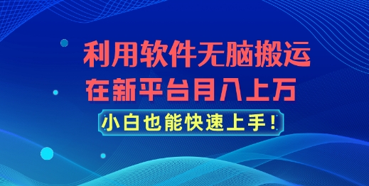 利用软件无脑搬运，在新平台月入上万，小白也能快速上手-冒泡网