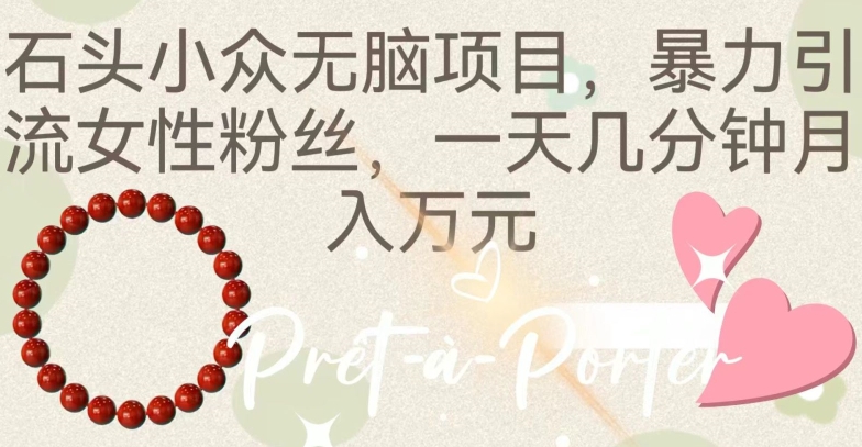 石头小众无脑项目,暴力引流女性粉丝,一天几分钟月入万元-冒泡网