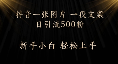 每天2分钟，抖音一张图片 一段文案日引流500粉-冒泡网