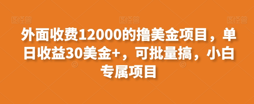 外面收费12000的撸美金项目,单日收益30美金+,可批量搞,小白专属项目-冒泡网