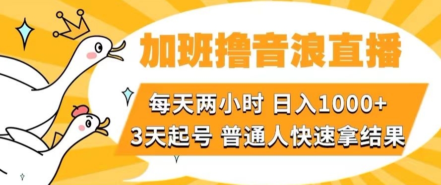 加班撸音浪直播,每天两小时,日入1000+,直播话术才3句,3天起号,普通人快速拿结果【揭秘】-冒泡网