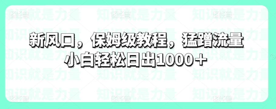 新风口,保姆级教程,猛蹭流量小白轻松日出1000+-冒泡网
