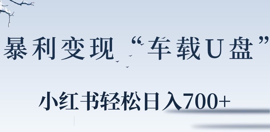 小红书“车载U盘”暴利引流，日入700+-冒泡网